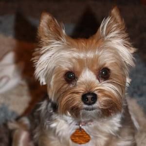 Meet your Posher, Crystal